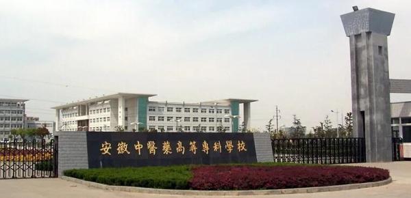 安徽内的专科学校排名(安徽有几所好的专科学校)插图55
