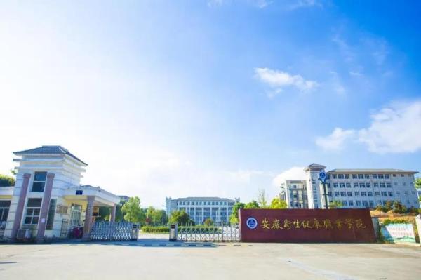 安徽内的专科学校排名(安徽有几所好的专科学校)插图56
