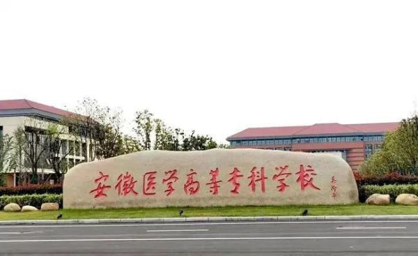 安徽内的专科学校排名(安徽有几所好的专科学校)插图57
