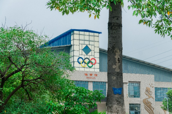 东莞职业技术学院属于大专吗(东莞职业技术学院是大专还是中专)插图14