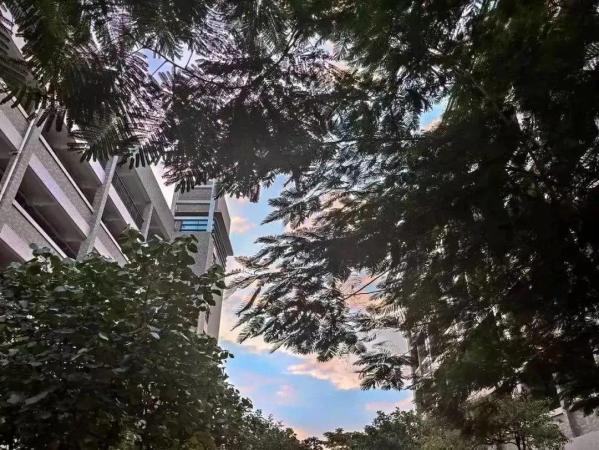 东莞职业技术学院属于大专吗(东莞职业技术学院是大专还是中专)插图35