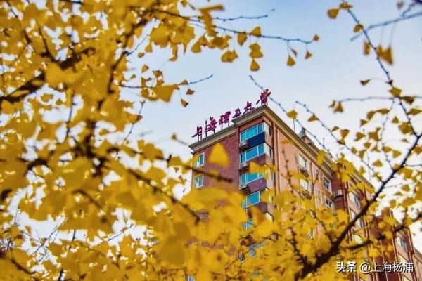 ut是哪个大学，上海理工大学录取规则与收费标准详解插图3