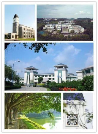 广东东软学院是本科还是专科(广东东软学院是大学吗)插图