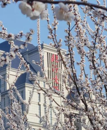 临沂大学属于985211吗(临沂大学是几本排名)插图