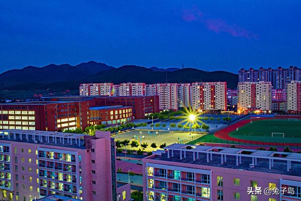 大连科技学院被国家认可吗知乎(大连科技学院被国家认可吗现在)插图6