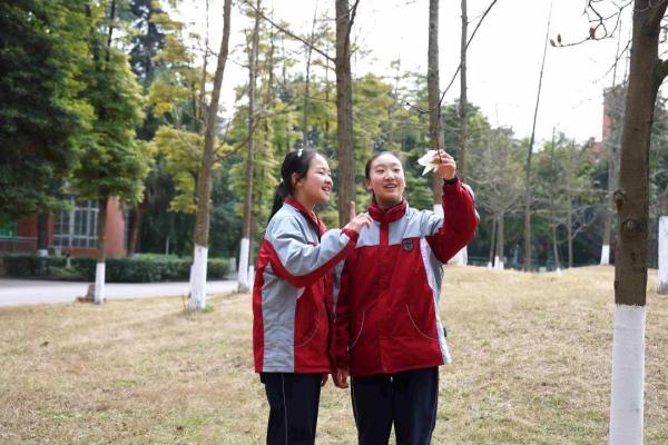 成都三原外国语学校在哪里(成都三原外国语学校官网)插图4