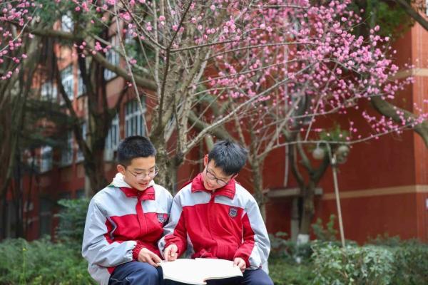 成都三原外国语学校在哪里(成都三原外国语学校官网)插图13