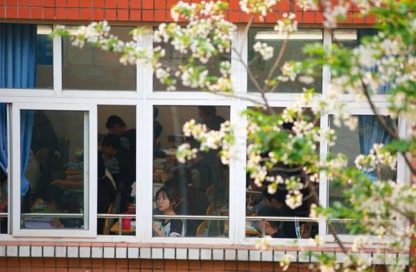 成都三原外国语学校在哪里(成都三原外国语学校官网)插图26