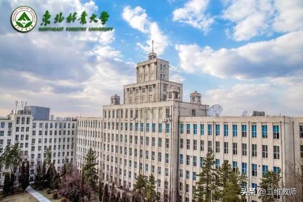 中国矿业大学是不是211大学(中国矿业大学是不是211985)插图17