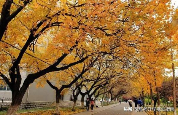 山东师范大学全国排名是多少名(山东师范大学全国排名是多少位)插图5