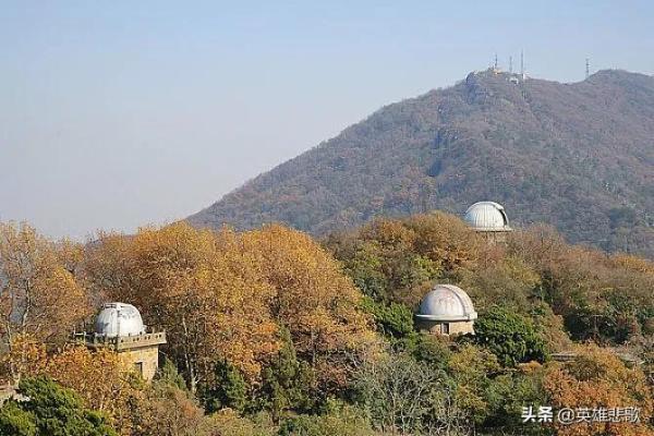 南京大学跟武汉大学排名(南京大学跟武汉大学哪个更好)插图2