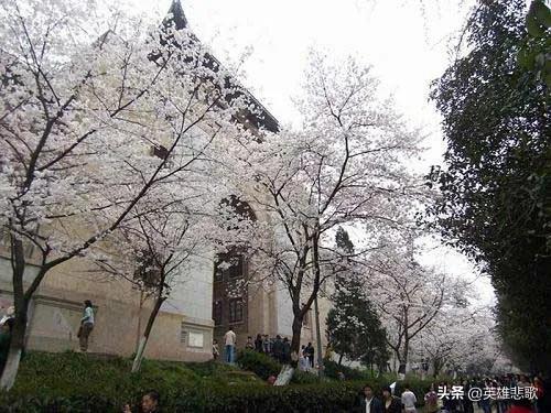 南京大学跟武汉大学排名(南京大学跟武汉大学哪个更好)插图11