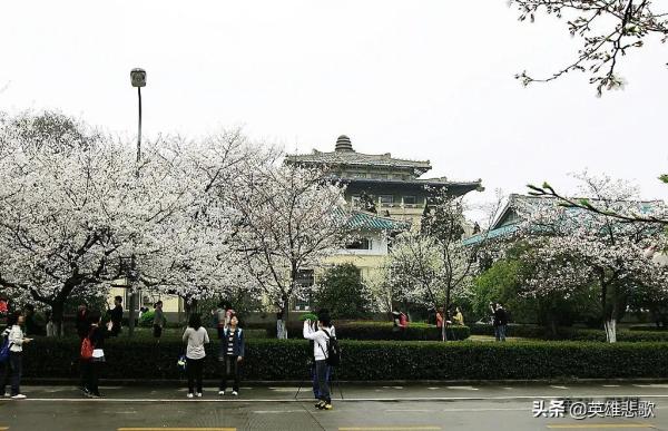南京大学跟武汉大学排名(南京大学跟武汉大学哪个更好)插图18