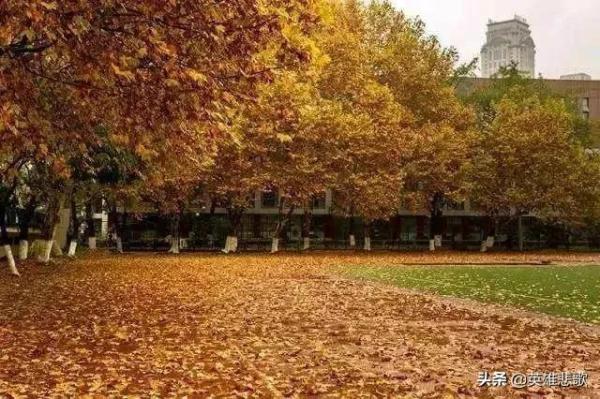 南京大学跟武汉大学排名(南京大学跟武汉大学哪个更好)插图19