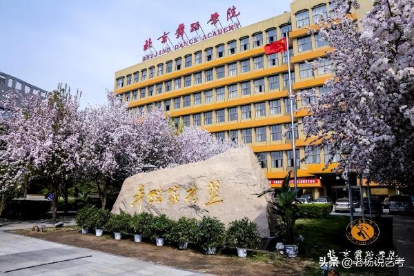 北京舞蹈学院是名牌大学吗还是本科(北京舞蹈学院是名牌大学吗还是专科)插图