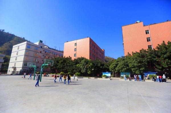 攀枝花学院成立时间是多少(攀枝花学院的前身)插图1