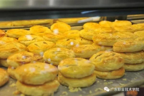 广东佛山职业技术学校哪家好(佛山职业技术学校排名)插图59