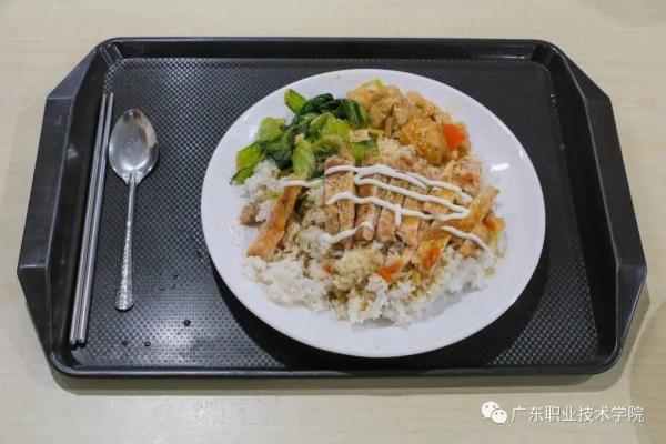 广东佛山职业技术学校哪家好(佛山职业技术学校排名)插图62
