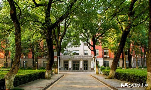 985大学分数线排名(985大学分数线排行榜)插图2