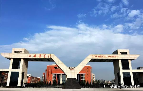 宝鸡文理学院专升本录取分数线(陕西专升本招生学校及分数线)插图2