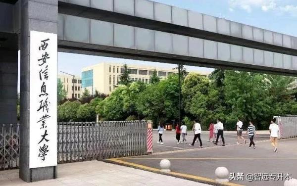 宝鸡文理学院专升本录取分数线(陕西专升本招生学校及分数线)插图33
