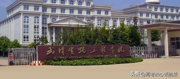 本科带专科的公立大学(湖北含专科的本科大学排名及分数线)插图