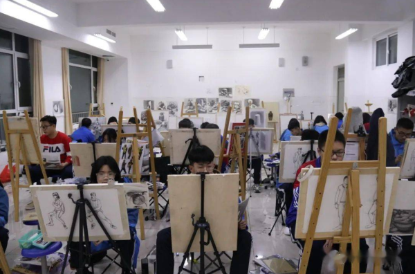 2024年取消艺术特长生(教育部取消艺术特长生加分)插图4