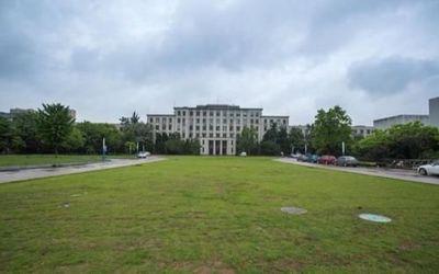 北京死亡5例年龄(北京洪水视频)