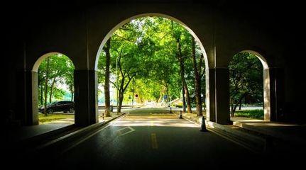 本科学校有哪些学校(第二段志愿填报时间)