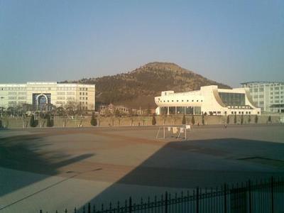 报考二级建造师证需要什么条件(新疆二级建造师执业资格考试条件)插图