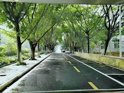 大学应用化学专业排名(应用化学排名全国大学)