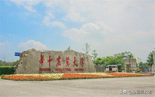 湖北本科大学排名一览表(2023年湖北省大学排行榜及分数线)插图4