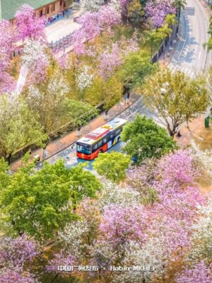 广州的大学排名一览表(广州学校大学)插图21