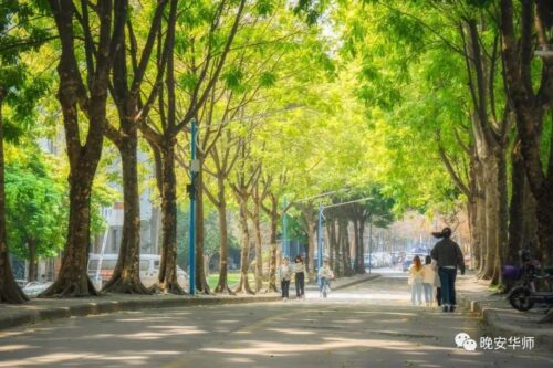 广州的大学排名一览表(广州学校大学)插图27