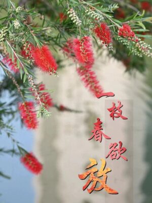 广州的大学排名一览表(广州学校大学)插图32