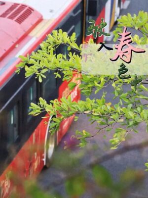 广州的大学排名一览表(广州学校大学)插图34