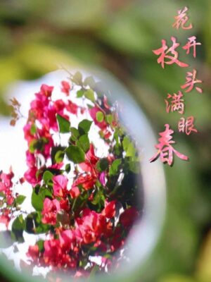 广州的大学排名一览表(广州学校大学)插图35