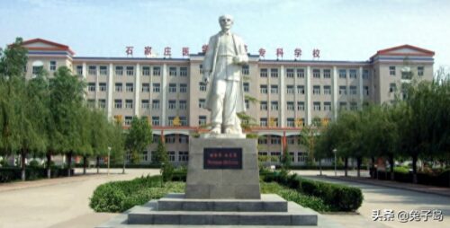 河北专科学校排名前十(沧州医学高等专科学校2023单招分数)插图6