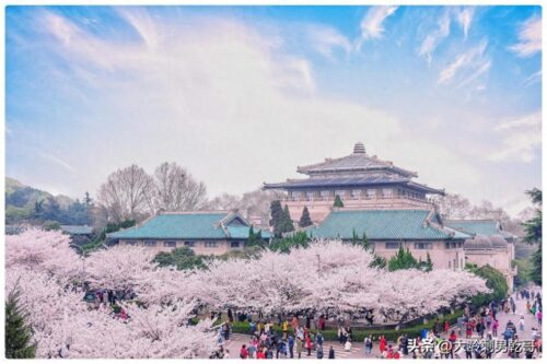 国家前十名大学排名(排列我国前十名的大学)插图1