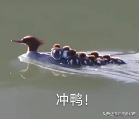 报考雅思要多少钱(考雅思需要具备什么条件)插图