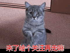 报考特岗教师需要什么条件(特岗考上的几率大吗)插图5