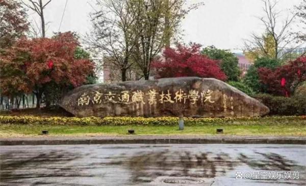南京大专排名(南京哪个大学本科大专都有)插图2