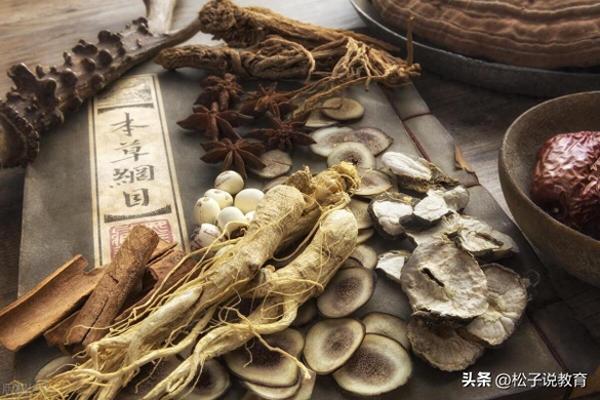 中医药大学排名(中国前十的中医药大学排名榜名单)插图2
