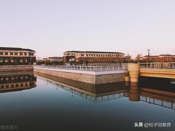 中医药大学排名(中国前十的中医药大学排名榜名单)插图12