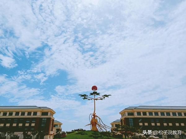中医药大学排名(中国前十的中医药大学排名榜名单)插图13
