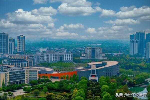 中医药大学排名(中国前十的中医药大学排名榜名单)插图16