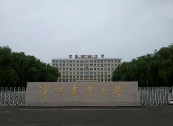 辽宁省大学前十排名(辽宁省大学排名顺序)插图5