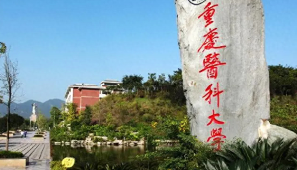 重庆职业学校排名前十有哪些学校(重庆高校毕业生就业信息网登录入口 新闻)插图2
