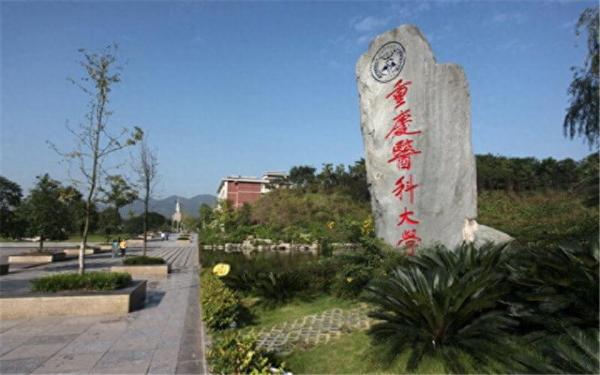 重庆大专学校排名榜(重庆医学类大学排名及分数线是多少)插图2