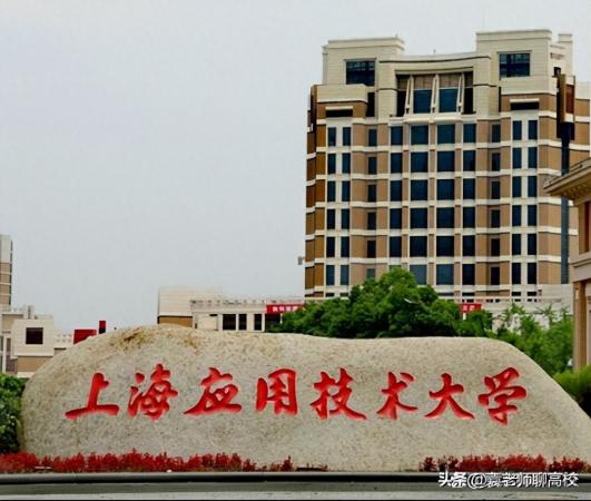 上海工程技术大学排名(上海工技大和二工大那个好)插图3